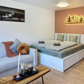 Saas-Fee Panorama Studio, hotel u gradu Sas-Fe