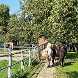 Ferienwohnung Isi-Blick