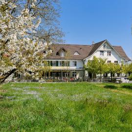 Landgasthof Seelust, hotel Egnachban