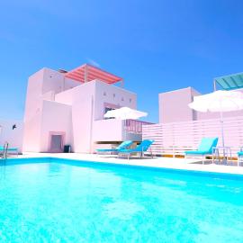 XENOS VILLA 6 With a private pool near the sea