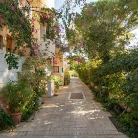 Virginia Studios, Hotel in Paleochora