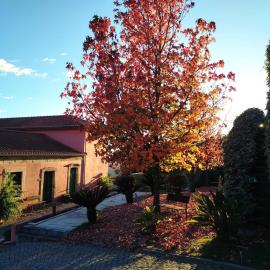 Quinta de Baixo