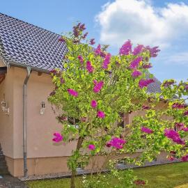 Ferienwohnung Torgelow