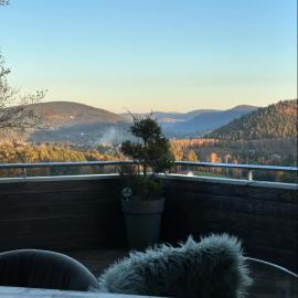 Chalet Villa Piscine vue panoramique sur Gérardmer et le Hohneck, отель в городе Ле-Толи
