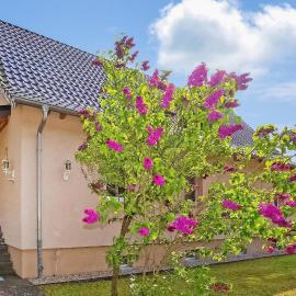 Ferienwohnung Torgelow