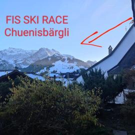 Skirennen von der Terrasse mitverfolgen, hótel í Adelboden