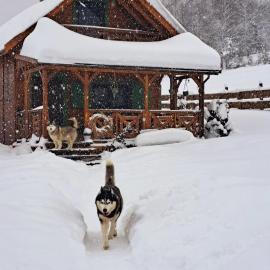 Legowisko Bieszczady