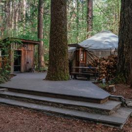 Your private Yurt in the woods - Nevada City