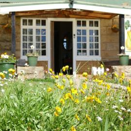 Peerboom Guesthouse, hotel in Fouriesburg