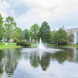 A cozy place near UF, hotel in Gainesville