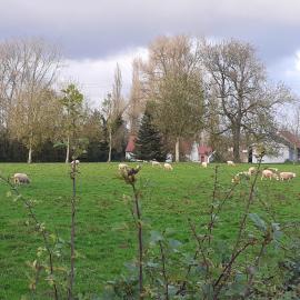 Gîte au Bonh'Air Indépendant