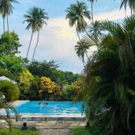 Green Parrot Beach Resort, hotel v destinácii Tangalle