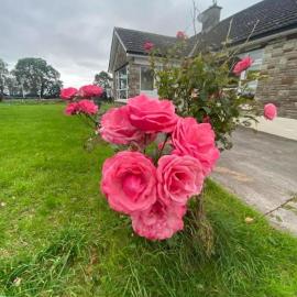 Sheelin Side House, Hotel in Cavan