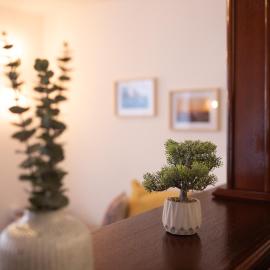 Vila Bonsai Golija