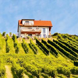 Rebenchalet