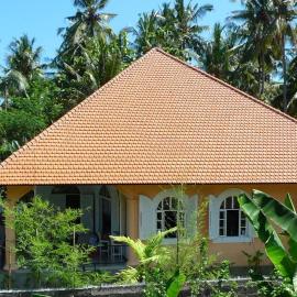 Villa Mimosa, hotel u gradu Lovina