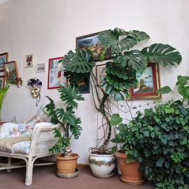Tamari Guest House, hotel u gradu Telavi