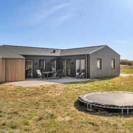 Lovely Home In Skjern With Sauna