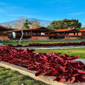 SEROJA Villa and Camping Ground, hotel i Sajang