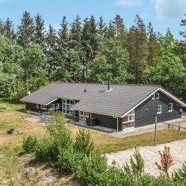 Holiday Home Mosevråvej Oksbøl Ii