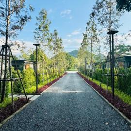 Willow Tree House Khao Yai