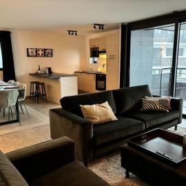 Le Savoisien, Appartement in centrum Chatel 150 m van ski-lift