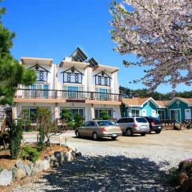 Silver Glowing Sea Pension