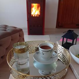 Šumska vila Zorica