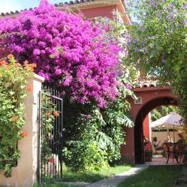 El Arbol Hostel, Hotel in La Serena