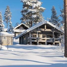 Ski-in/out | Sauna | Pets OK | Terrace | Parking, hotel i Lofsdalen