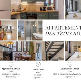 Les Apparts des 3 rois, hotel in Romorantin