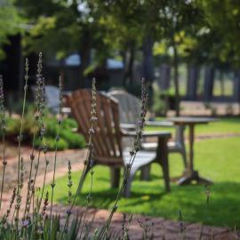 Three Thymes Inn, hotel a Tierpoort