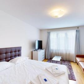 Very spacious studio in city center - Parkview 4