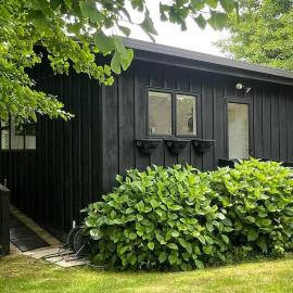 Romantic Country Cottage - 1 Bedroom open plan, hotel v mestu Pukekohe East
