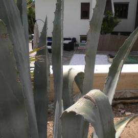 Casa Vacanze Domusangela