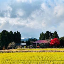 農家民宿と古民家カフェ 里山のカフェ ににぎ 1日1組 限定 8名まで 連泊も可Recommended for pairs and small groups，男鹿市的飯店