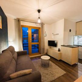 Appartement moderne 1 chambre avec piscine, proche ski et village - FR-1-342-328