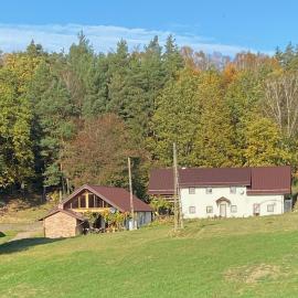 Agrowinnica