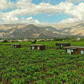 El Porvenir Wine Lodge, hotel in Cafayate
