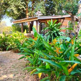 Bunnum Homestay, hotel in Ban Mae Tap