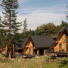 The Sopa - heritage premium houses, hotel v Zakopane