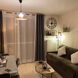 Studio avec vue sur les pistes