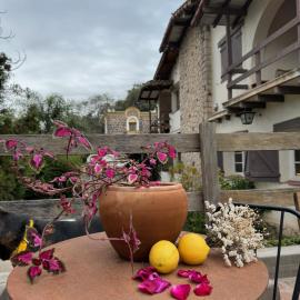 Casa mansa, hotel u gradu Unkiljo