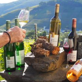 Weingut & Gästehaus Andreas Erz, хотел в Браунеберг
