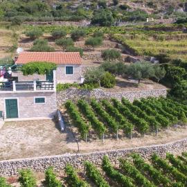 Holiday Home Vineyard house