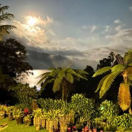 Bedugul में, होटल Warung Rekreasi Bedugul