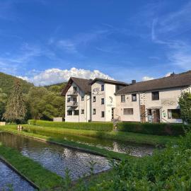 Hotel | Restaurant | Forellenzucht, Hotel in Burgen