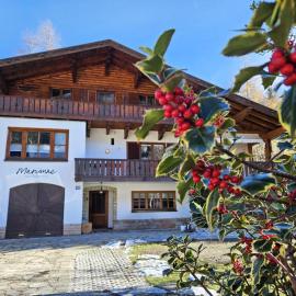 Marianne - Alpine Apartments