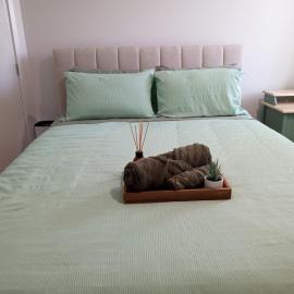 La Casa Verde in Warner Lakes - A Boutique Guesthouse - A Welcoming Homestay, hotel v destinácii Brendale