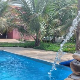 lírios do cerrado